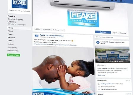 Peake Technologies 0
